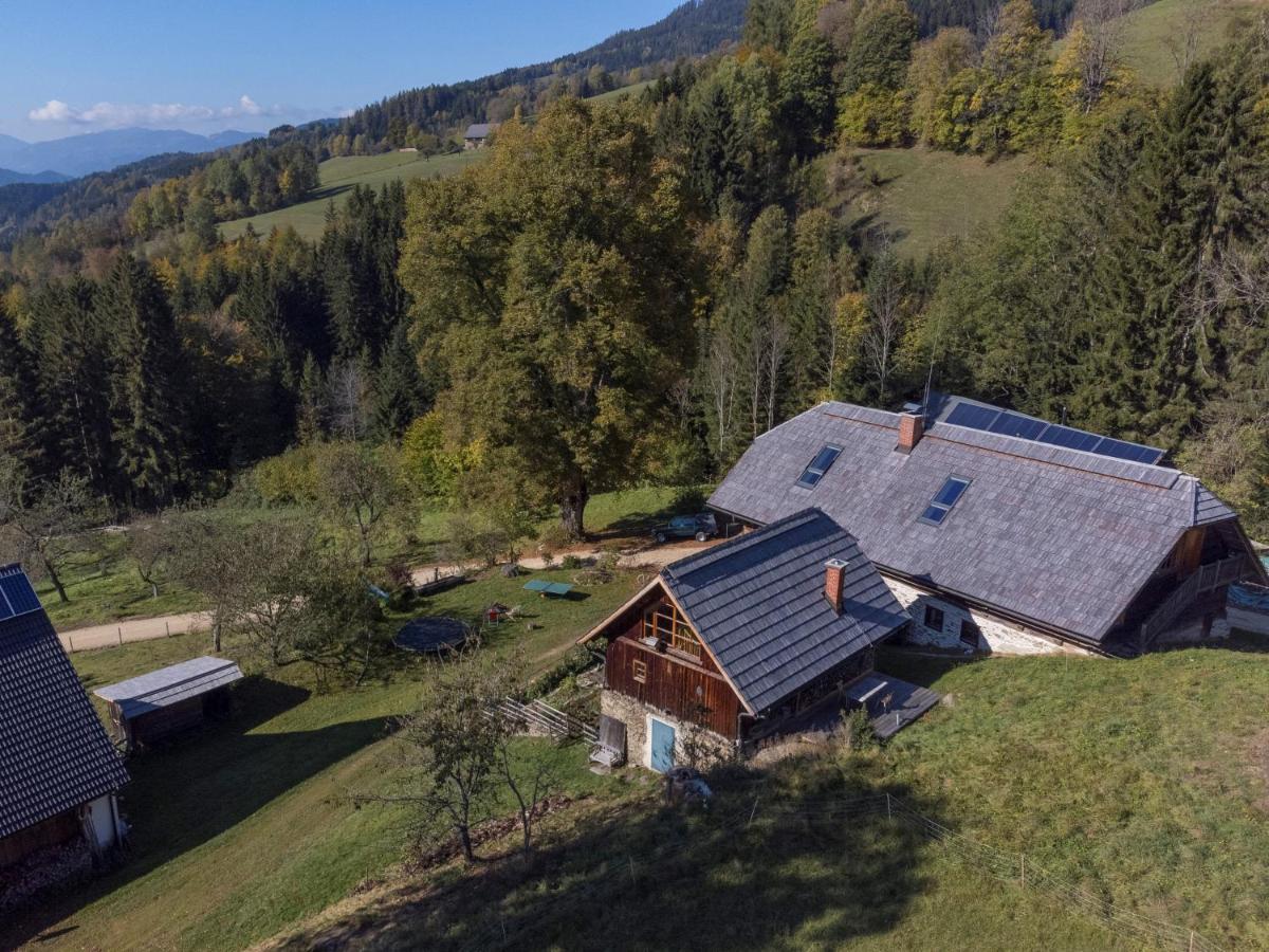 Charmante Gästewohnung in altem Bauernhaus in alpiner Alleinlage Stanz Im Murztal Exterior foto